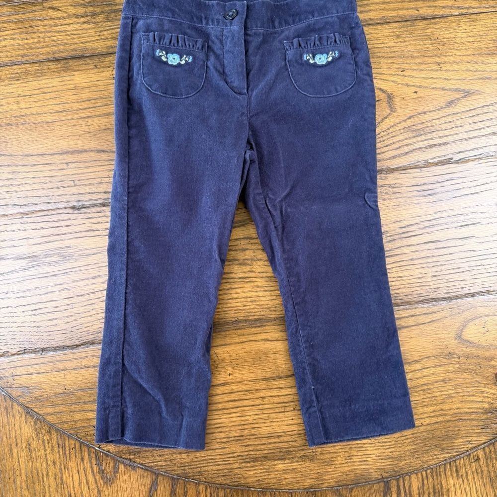Janie and Jack Velvet Embroidered Pants